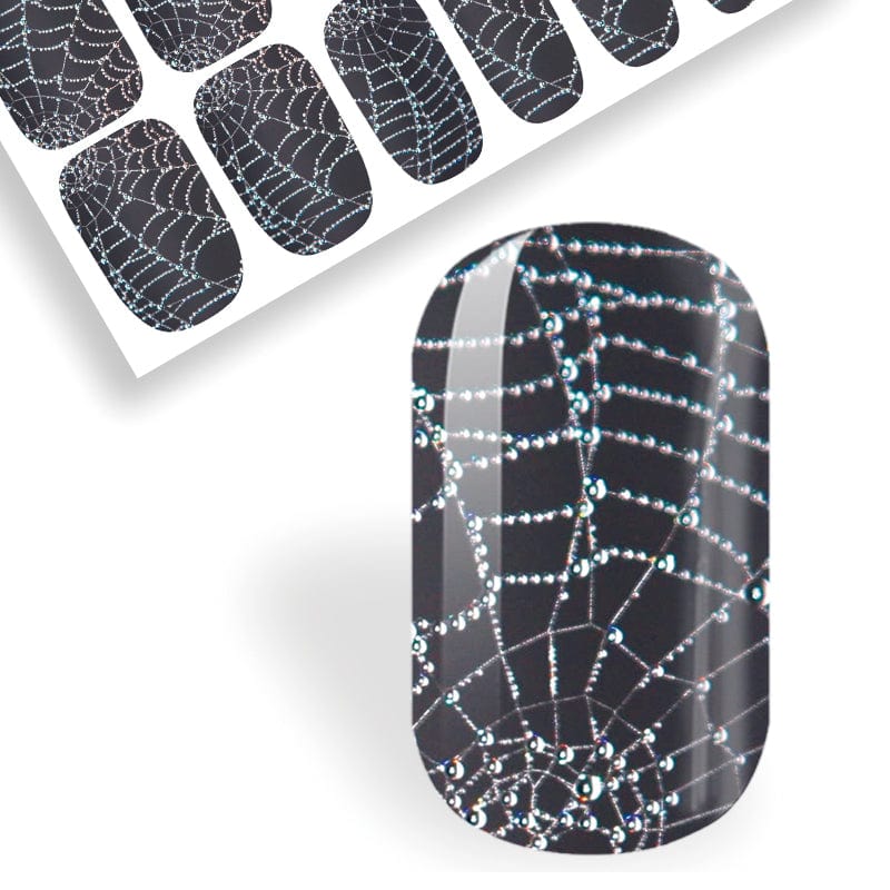 Dazzling Webs