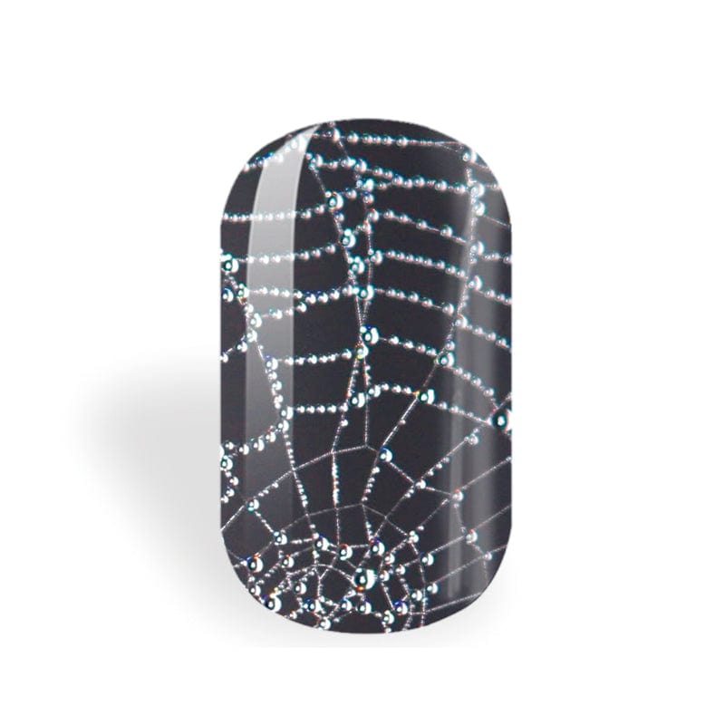 Dazzling Webs