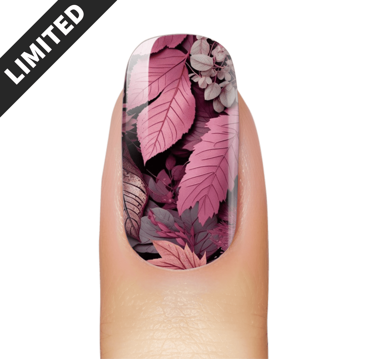 NEW: Rosey Autumn