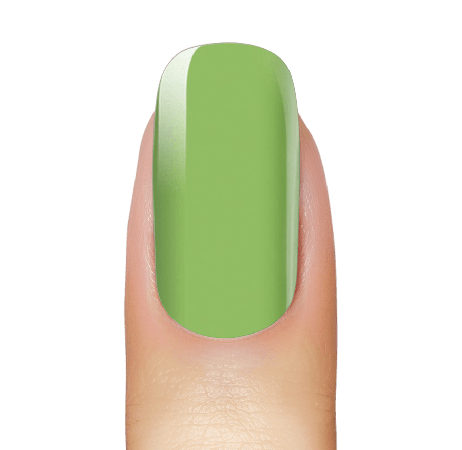 NEW: Avocado Green