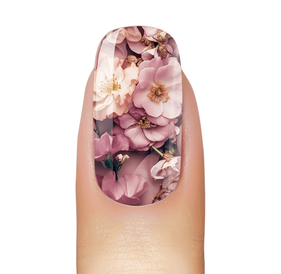 Blooms In Silk
