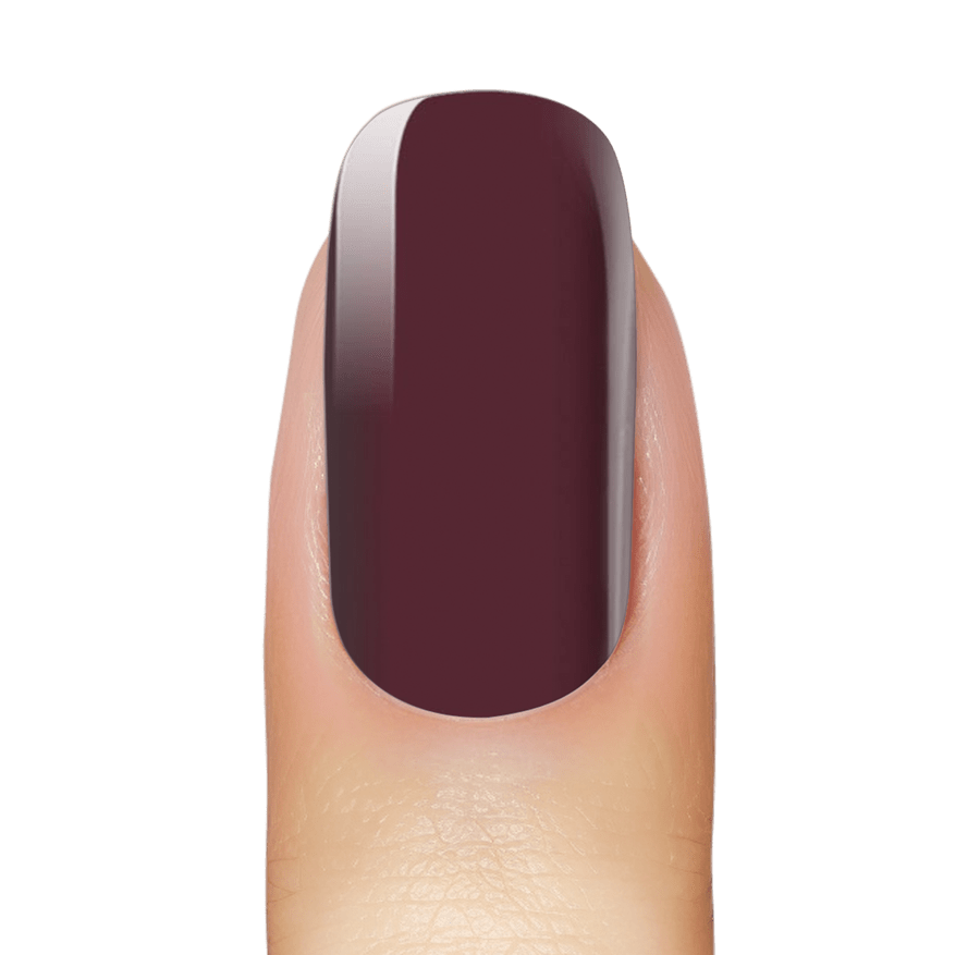 NEW: Burgundy Truffle