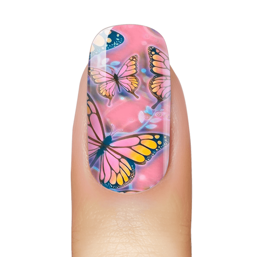 NEW: Butterfly Pop