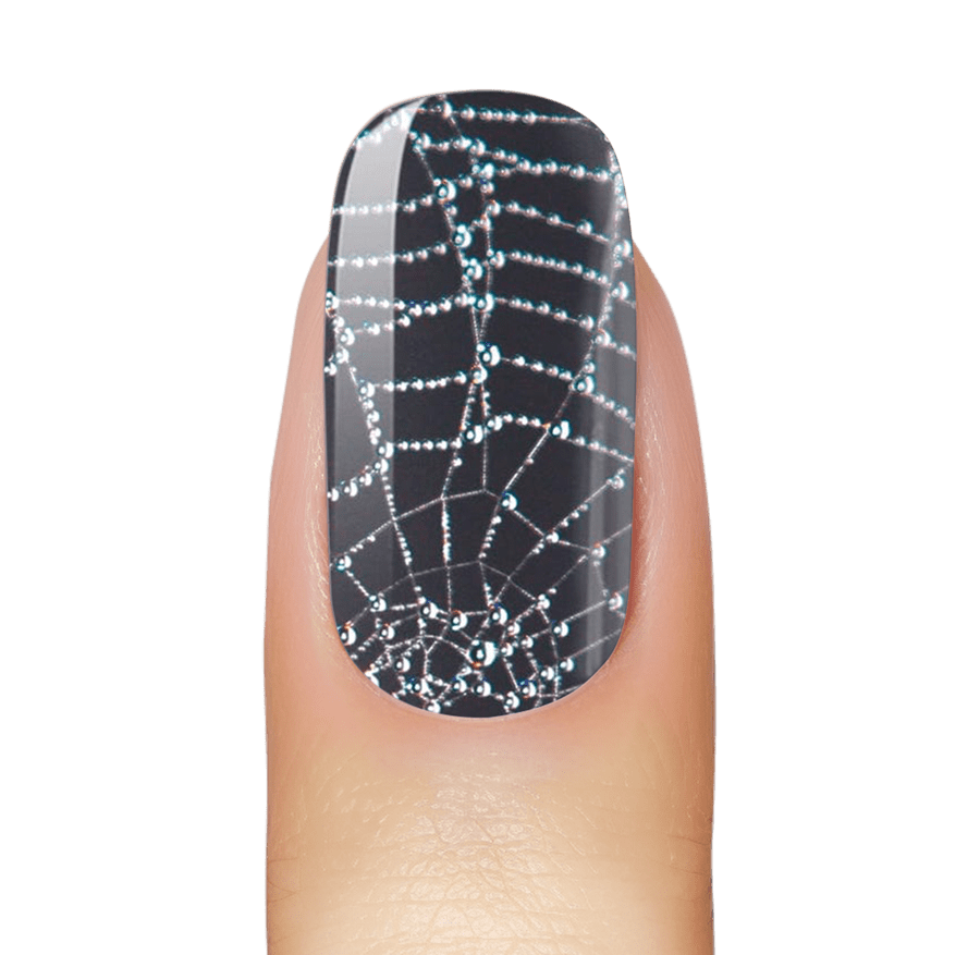 Dazzling Webs
