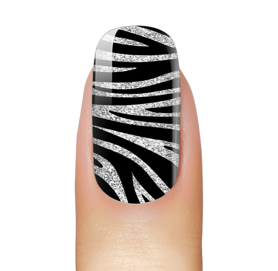 NEW: Fashionista Zebra