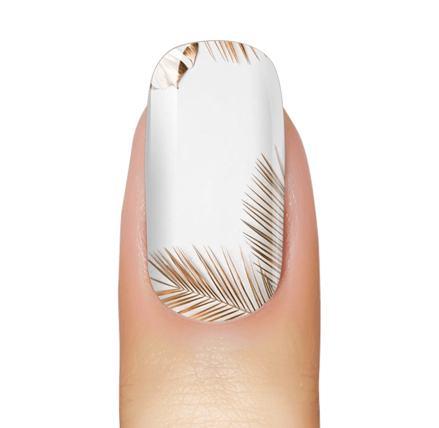 NEW: Palm Waves