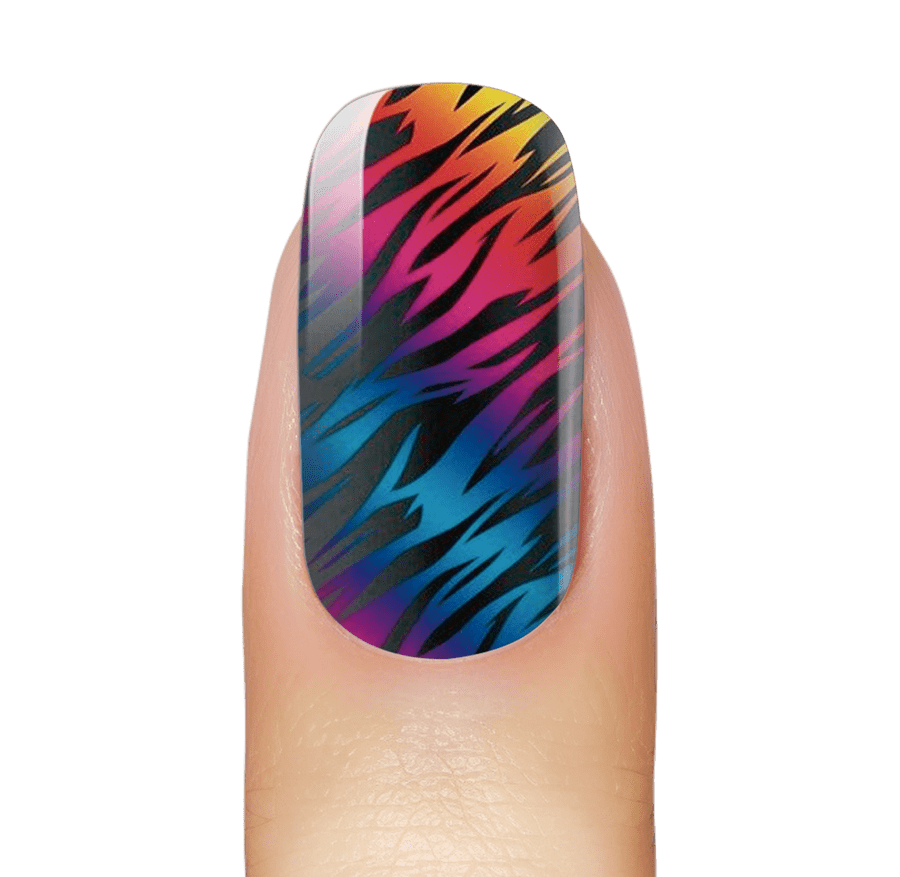 NEW: Rainbow Tigers