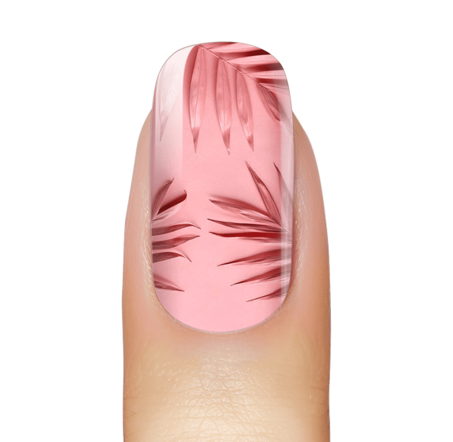 NEW: Rosé Palms