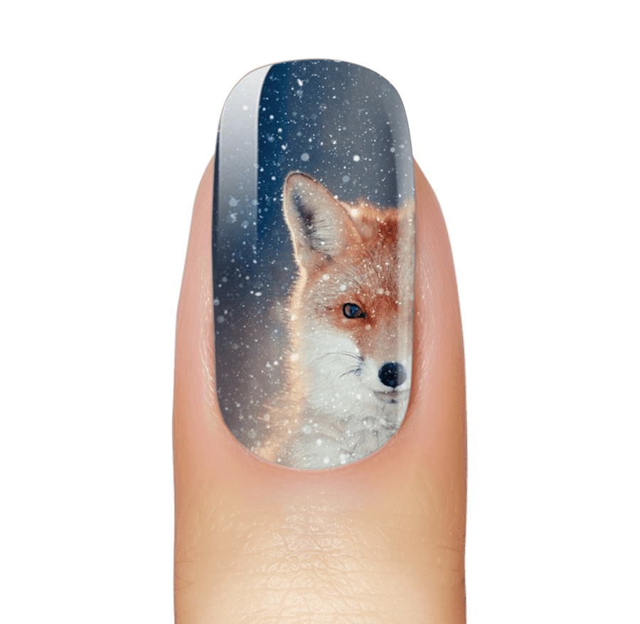 NEW: Snow Fox Winter