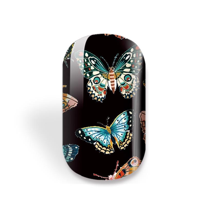 NEW: Butterfly Daydream