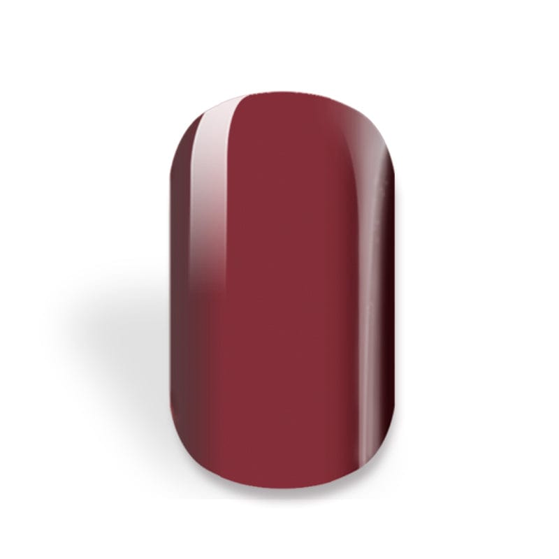 NEW: Red Elderberry