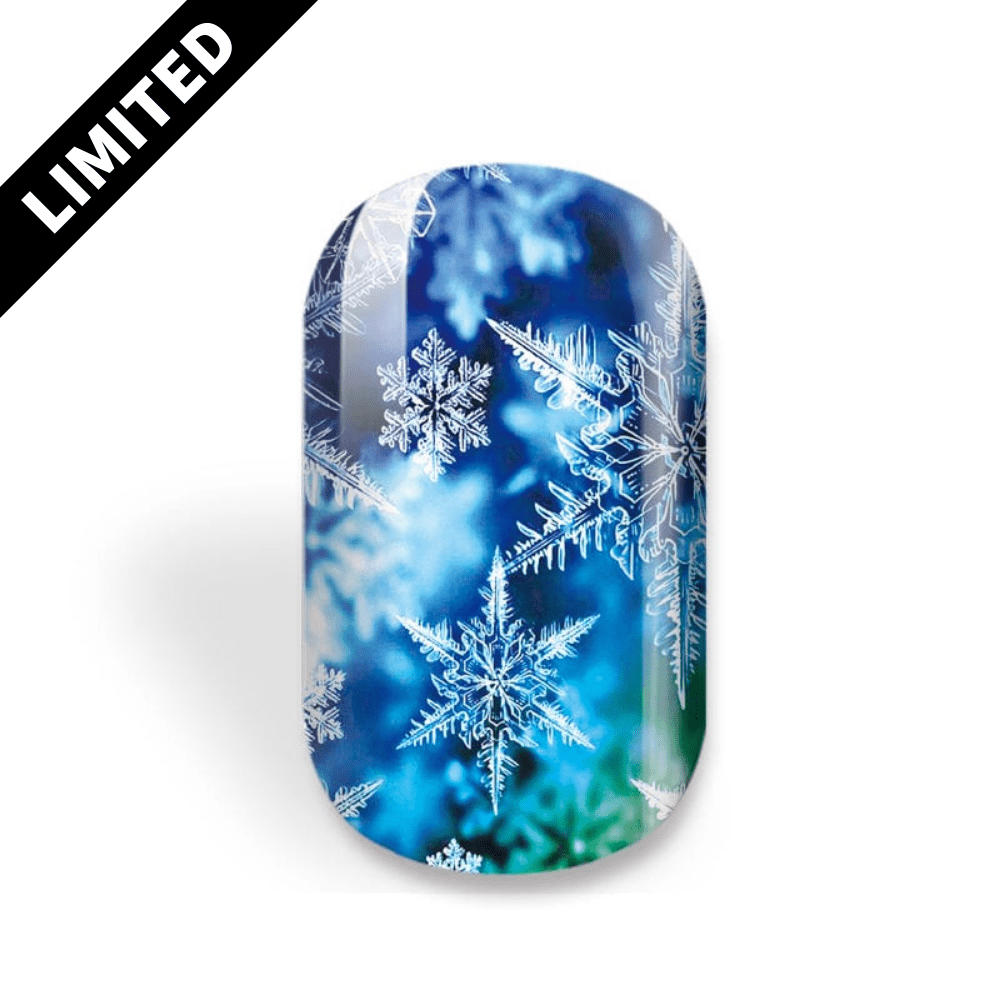 NEU: Fractal Freeze